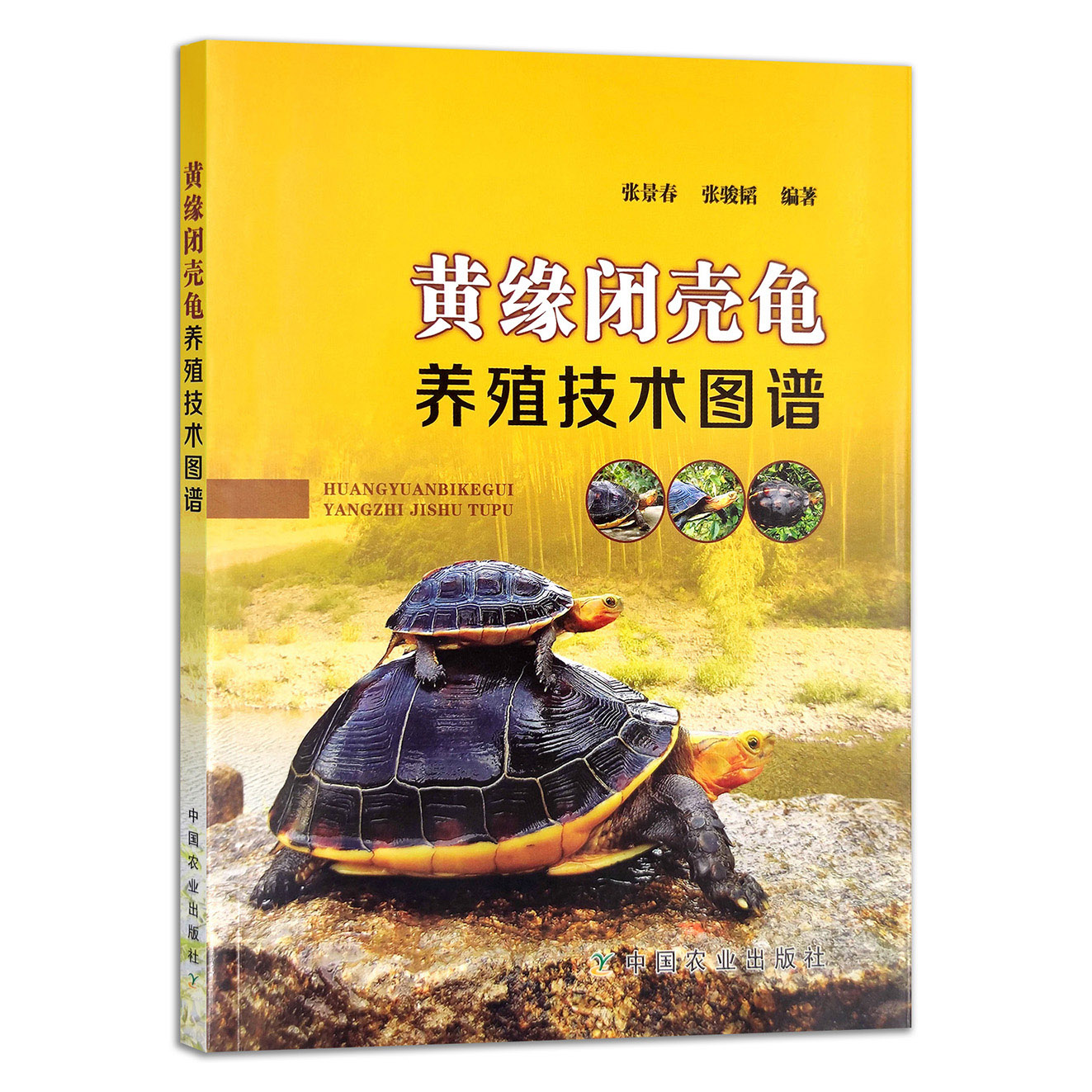 【官方正版】黄缘闭壳龟养殖技术图谱 张景春 张骏韬编著 9787109203426 淡水龟 乌龟