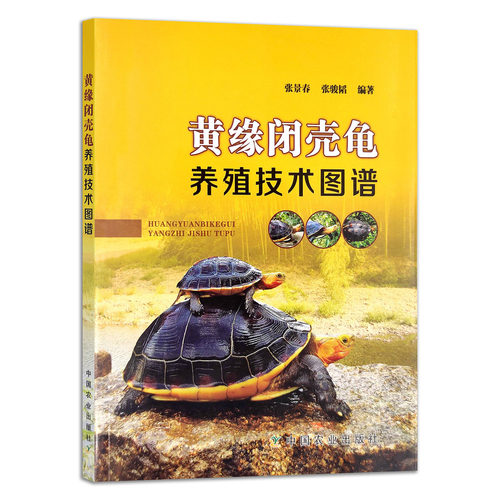 官方直营 现货速发 品质保证