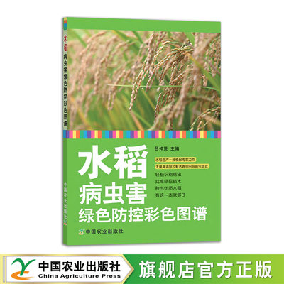 水稻病虫害绿色防控彩色图谱  26440-3 吕仲贤 文字与图片相结合  轻松识别病虫  找准绿控技术 种出优质水稻 农技员2020-06