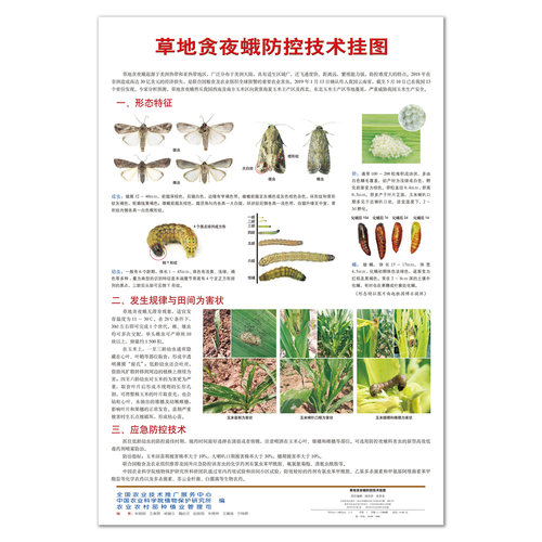 【中国农业出版社官方正版】草地贪夜蛾防控技术挂图 5张起购（6.00元/张）定价30元