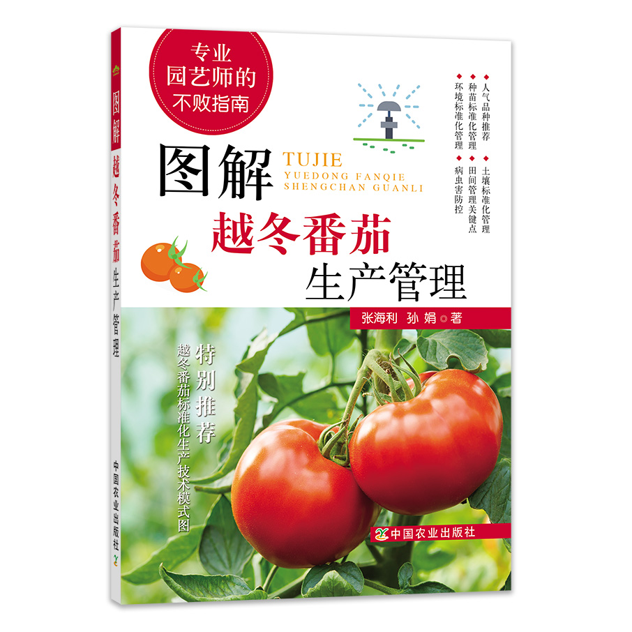 番茄生产 西红柿生产管理 番茄 西红柿