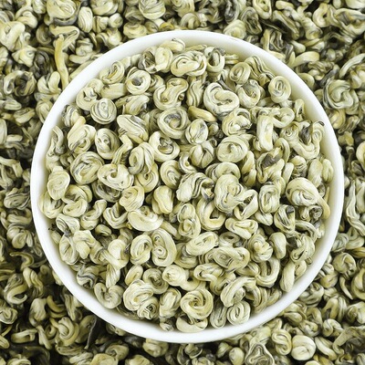 【特香白玉螺】2026新茶横县茉莉花茶浓香型玉螺罐子装茶香花香