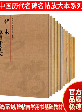 中国历代名碑名帖褚遂良王羲之兰亭序颜真卿多宝塔碑柳公权玄秘塔