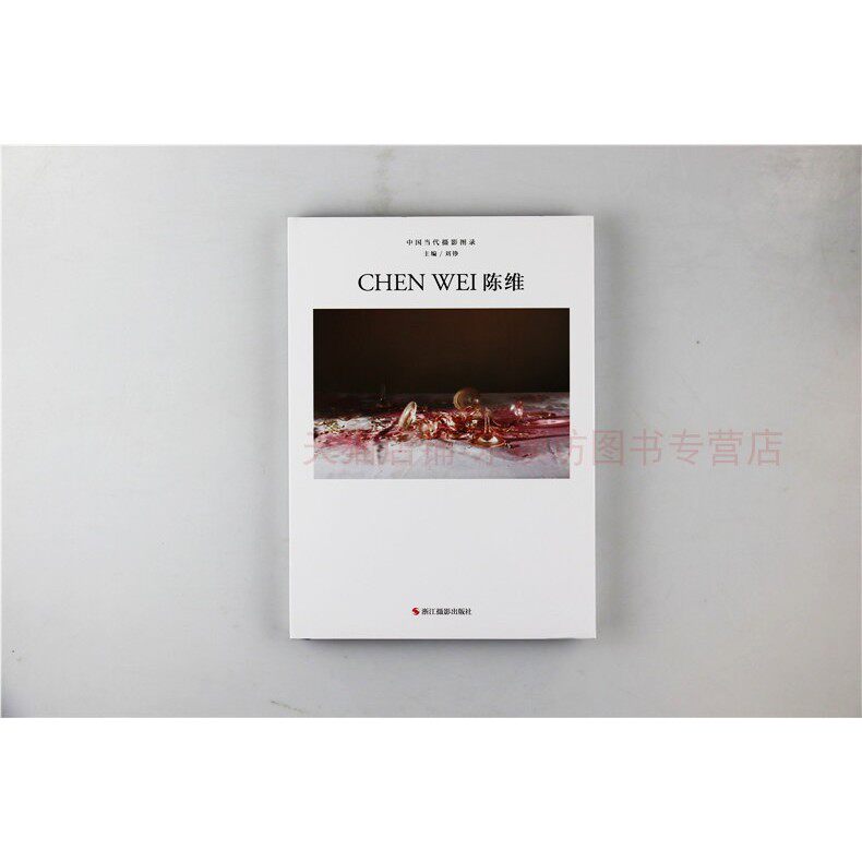 中国当代摄影图录陈维刘铮摄影集图册浙江摄影出版社