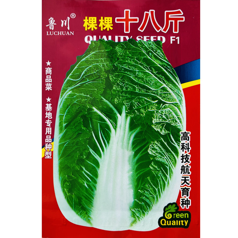 十八斤大白菜种子山东白菜籽冬季四季播大白菜抗病高产蔬菜白菜子