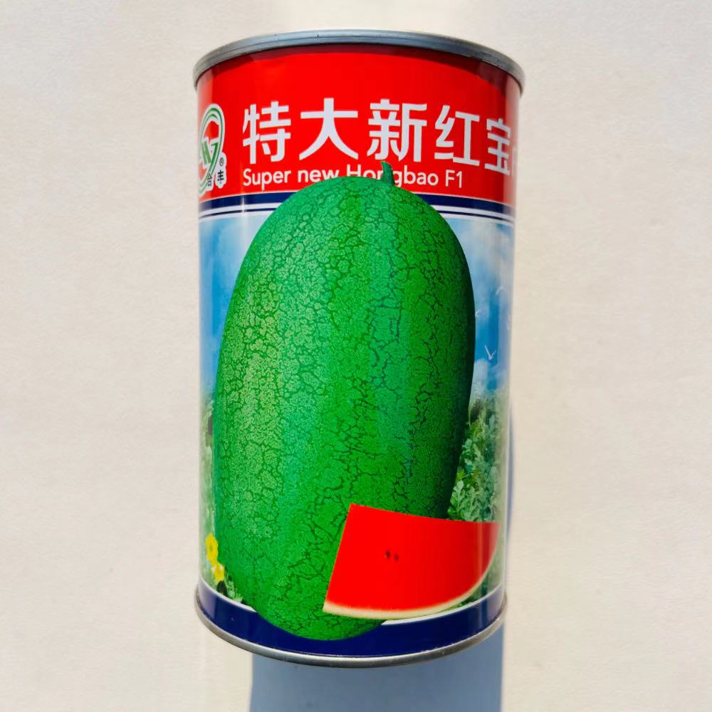 合丰种业特大新红宝西瓜种子晚熟甜度高椭圆形易坐果耐运输正品种图片