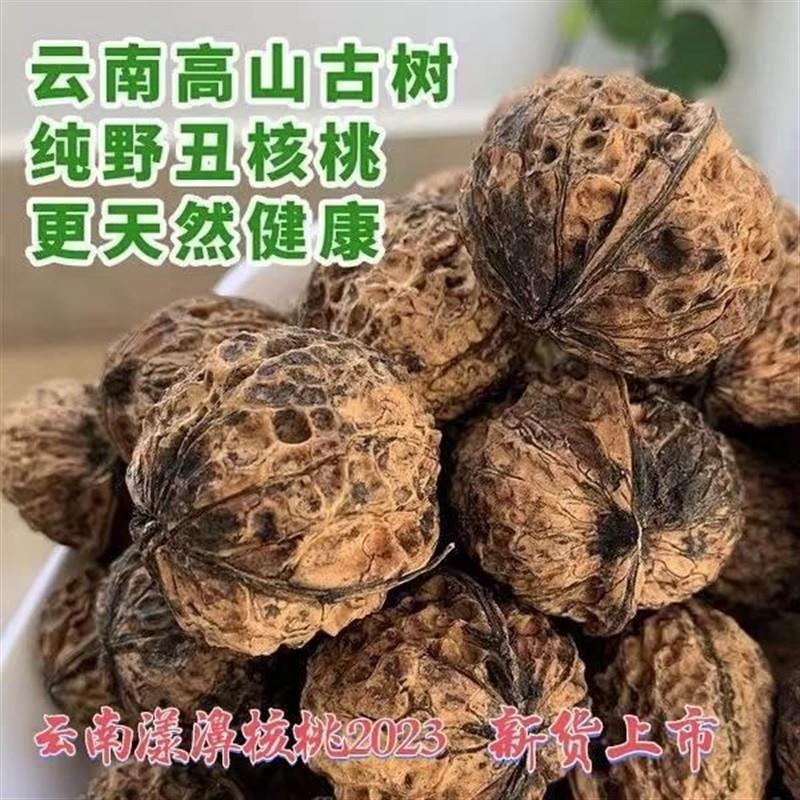 核桃薄皮干核桃云南老树野生山核桃2025年新货大果5斤包邮老树核