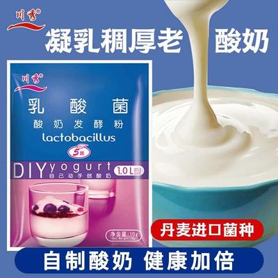 川秀酸奶发酵菌益生菌粉常温0添加自制乳酸菌商用酸奶