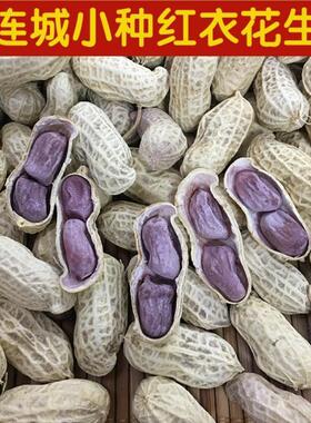 闽西特产龙岩湿烤花生连城文亨湖峰小种紫衣水煮咸干湿烤红衣花生