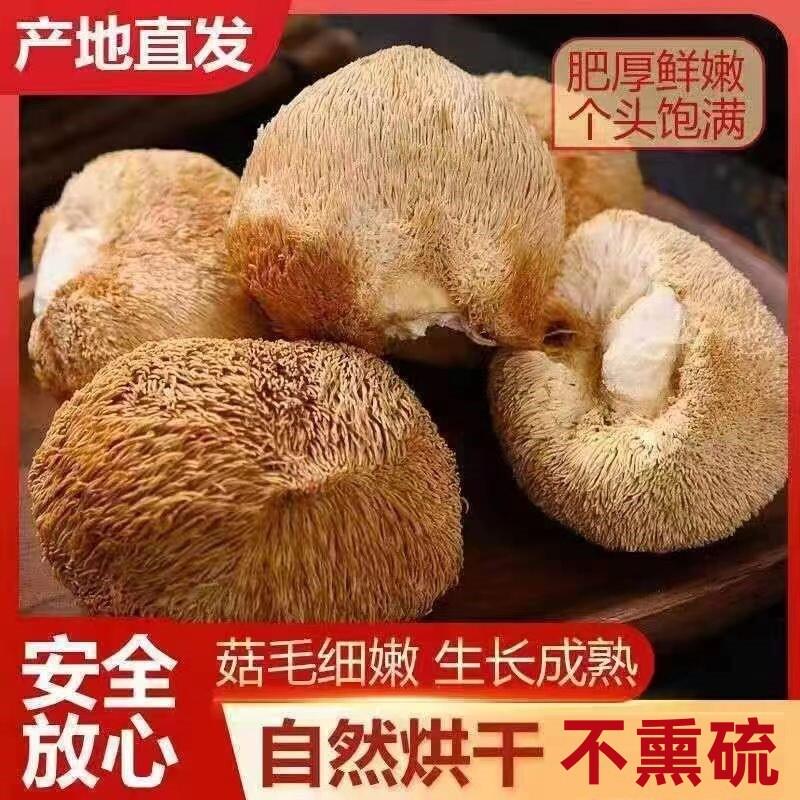 【净重包邮】正宗深山猴头菇干货新鲜猴菇无熏硫煲汤食用猴头菌
