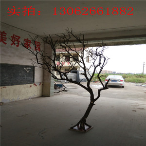 天然树枝干枝树干树枝装饰枯树白树枝树杆仿真树枝假树许愿树枝