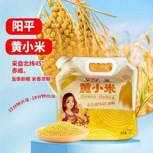 5斤拧嘴袋装 阳平黄小米2.5千克/袋内蒙赤峰小米家用杂粮小米粥