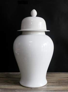 白色陶瓷大花瓶电视柜落地储物罐