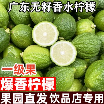 正宗广东无籽香水柠檬新鲜水果一级大果奶茶店专用香柠檬