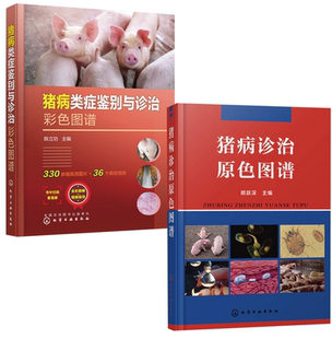 全2册 猪病诊治原色图谱猪病类症鉴别与诊治彩色图谱高效养猪养殖技术大全猪病诊断与防治简易快速鉴别猪病按预防治疗方法技术