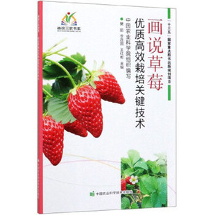 正版书籍 画说草莓优质高效栽培关键技术广大果农及草莓科技工作者参考借鉴参考阅读使用中国农业科学技术出版社