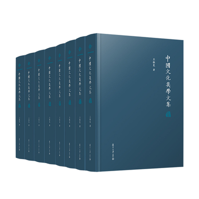 中国文化美学文集 王振复复旦大学出版社9787309167955正版书籍