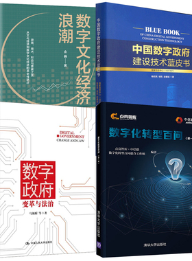 【全4册】数字化转型百问 辑点亮智库数字 变革与法治马颜昕中国数字 建设技术蓝皮书杨绍亮数字文化经济浪潮金巍书籍