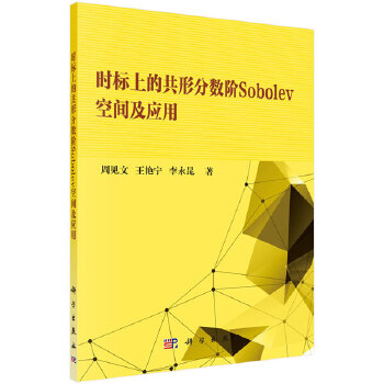 正版 时标上的共形分数阶Sobolev空间及应用 周见文,王艳宁,李永昆著 自然科学 数学 数学理论书籍 科学出版社