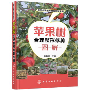 正版 苹果树合理整形修剪图解 陈敬谊 苹果树高效栽培书籍苹果树整形修剪技术方法苹果种植苹果高效栽培技术果园管理果树修剪书籍
