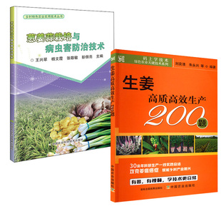 生姜高质高效生产200题 葱姜蒜栽培与病虫害防治技术 蔬菜种植技术大全现代蔬菜农业大棚绿色蔬菜葱姜蒜栽培农作物书 全2册
