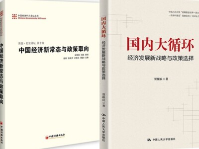 【全2册】大循环中国经济50人论坛丛书中国经济新常态与政策取向经济发展新战略与政策选择书籍中国人民大学出版社党政领导经