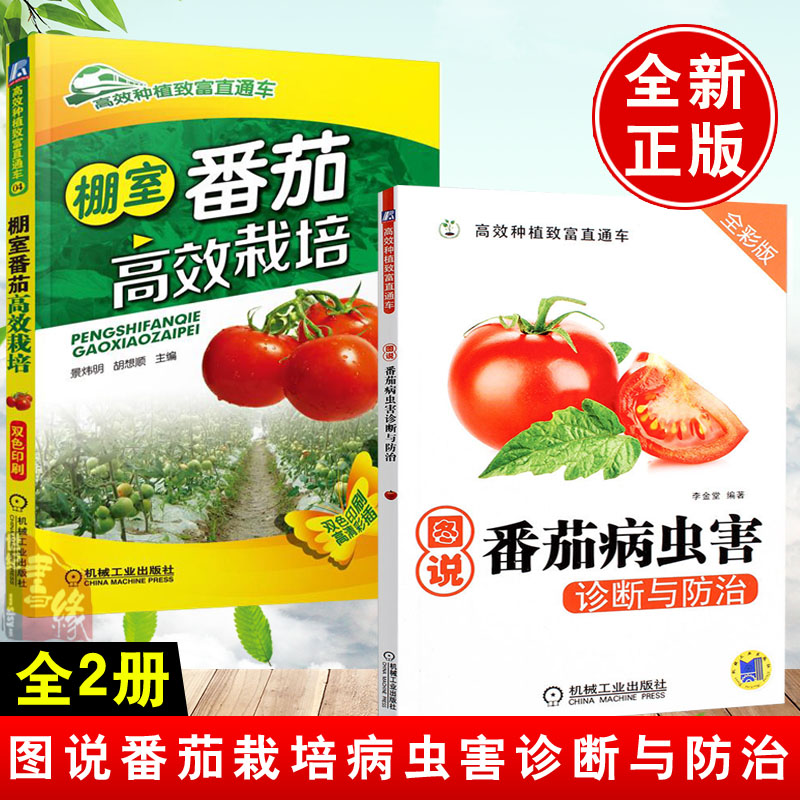 全2册棚室番茄高效栽培+图说番茄病虫害诊断与防治高效种植番茄书籍西红柿栽培技术大全书籍大棚蔬菜栽培番茄病虫害防治书籍