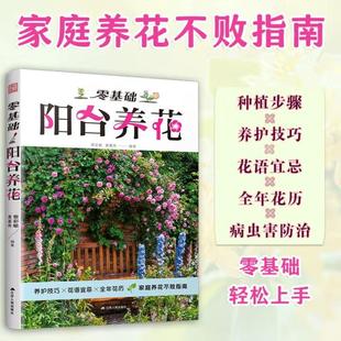 黄基传 黎彩敏 零基础阳台养花 家庭园艺植物养护室内绿植阳台养花植物园艺生活养护技巧花语全年花历病虫害防治