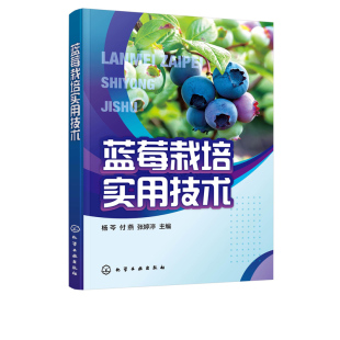 正版书籍 蓝莓栽培实用技术 杨芩蓝莓栽培技术蓝莓有机质栽培蓝莓绿色有机无公害培育蓝莓病虫害防治果农技术人员农业院校师生参考