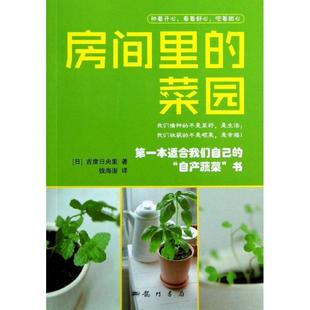 房间里 菜园