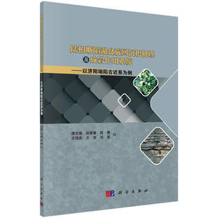 自然科学 地球科学 地质学 正版 科学出版 谭先锋 书籍 社 陆相断陷湖盆旋回沉积机理及成岩作用系统