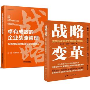 创新式 企业战略管理 增长 卓有成效 王磊夸克书院企业经营领导管理战略管理 豆大帷桂穗湘马天利 2册战略变革：复杂商业环境下