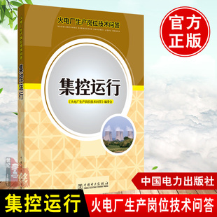 正版图书 火电厂生产岗位技术问答 集控运行 火电机组生产岗位各项技能培训参考书 梁瑞珽主编 包含考试 现场考问题目汇总