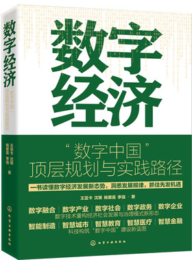 数字经济：“数字中国” 层规划与实践路径 王亚卡、沈策、杨爱喜、李强  著化学工业出版社9787122440006正版书籍
