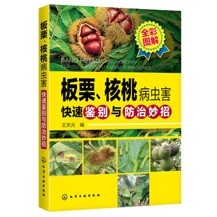 正版书籍 板栗 核桃病虫害快速鉴别与防治妙招 王天元 果树专业种植户果树企业农技推广技术人员植保工作者参考读物板栗核桃种植书