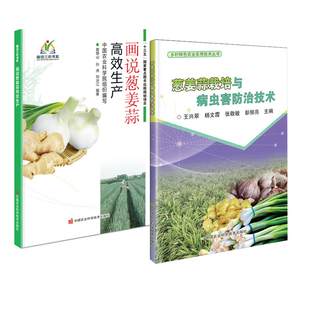 画说葱姜蒜高效生产葱姜蒜栽培与病虫害防治技术蔬菜病虫害诊治种植技术大全现代农业大棚绿色蔬菜葱姜蒜栽培农作物书 全2册
