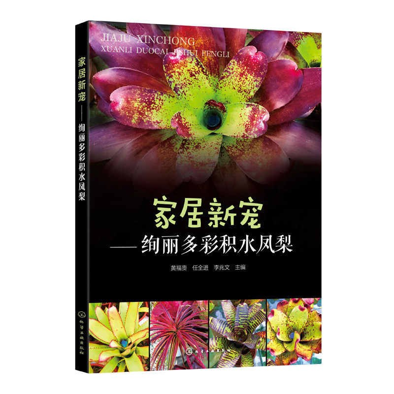 正版书籍 家居新宠—绚丽多彩积水凤梨 黄福贵 积水凤梨栽培与繁殖要点净化室内环境雨林缸的制作要点积水凤梨实例赏析雨林缸造景