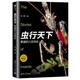 书籍 六足传说 清华大学出版 社 科普读物 正版 虫行天下：繁盛 汪阗著 生物世界 动物
