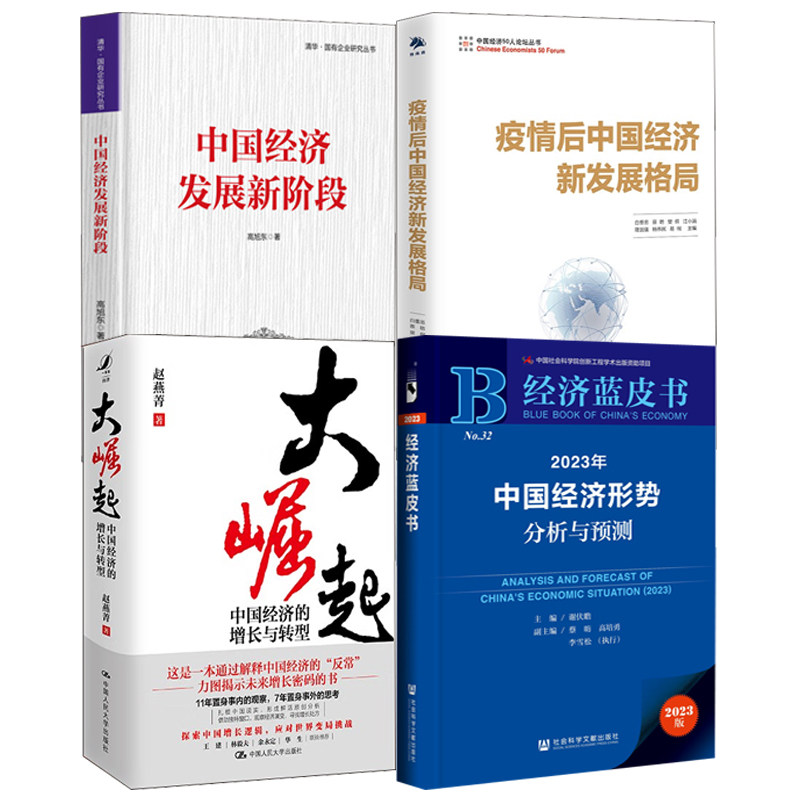 【全4册】2023年中国经济形势分析与预测谢伏瞻大崛起中国经济的增长与转型赵燕菁疫情后中国经济新发展格局中国经济发展新阶段书