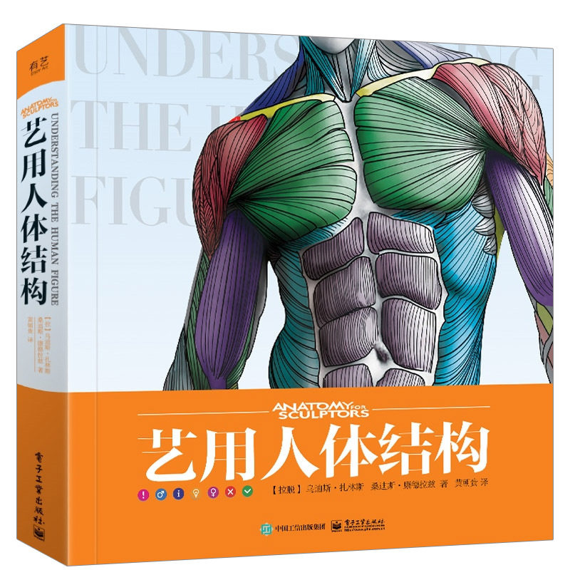 正版 艺用人体结构 精装版 全彩 黄朝贵 艺用人体结构解剖学书 形体