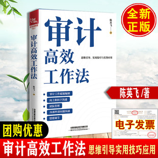 审计高效工作法 陈英飞中国铁道出版社9787113315993正版书籍