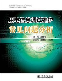 用电信息采集系统调试维护常见问题分析 正版 中国电力出版 工业技术 电工技术 电能应用书籍 殷树刚 电气化 社