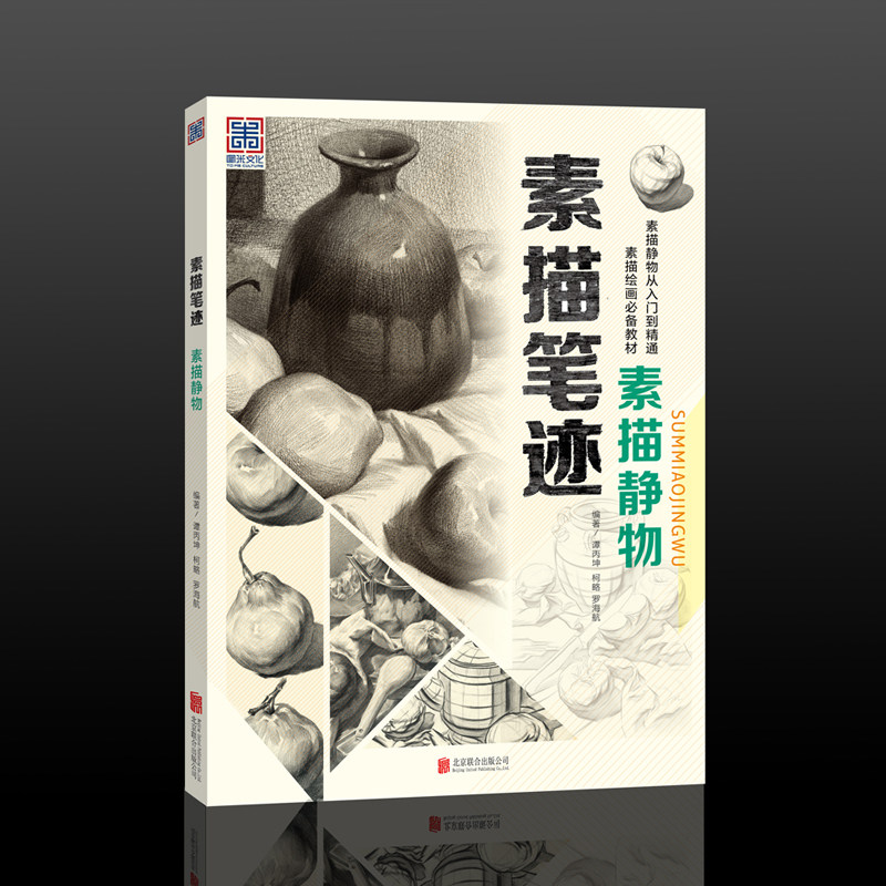 正版 素描笔迹 素描静物 谭丙坤著静物速写书大图 美术素材几何形体