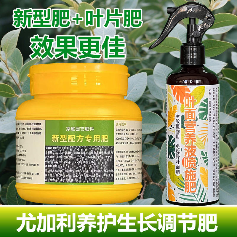 尤加利专用肥料盆栽种植树苗尤加利树营养液叶面肥花肥水溶化肥料