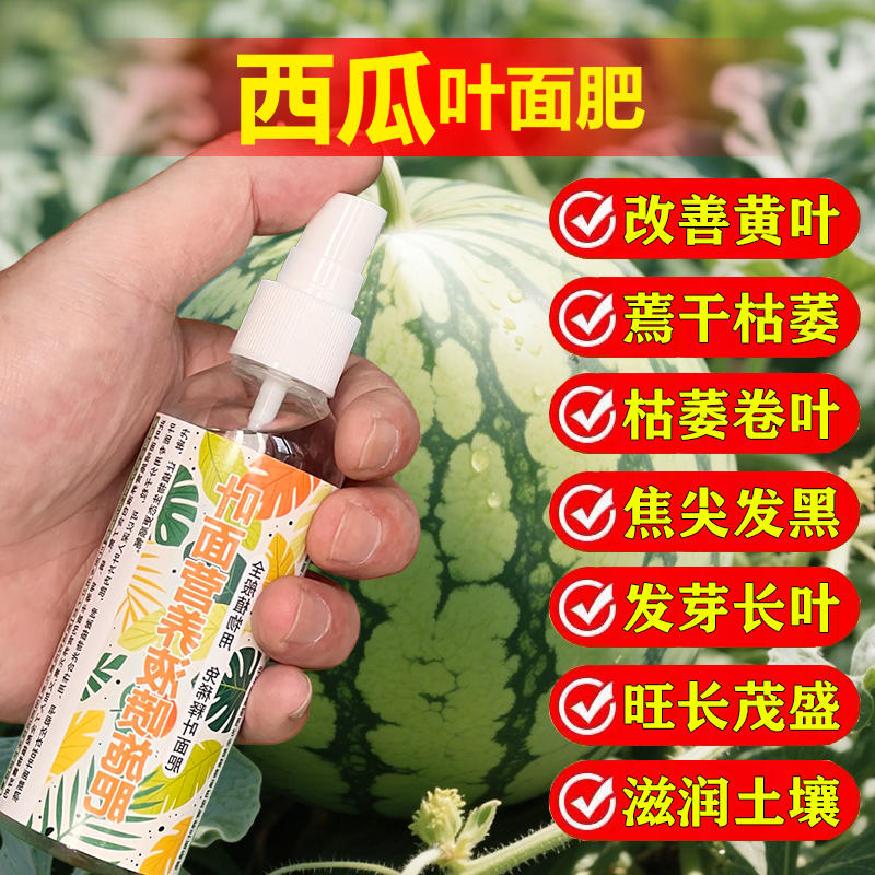 西瓜生长专用肥料种植育苗发芽阳台盆栽有机肥营养液粗壮长藤肥料