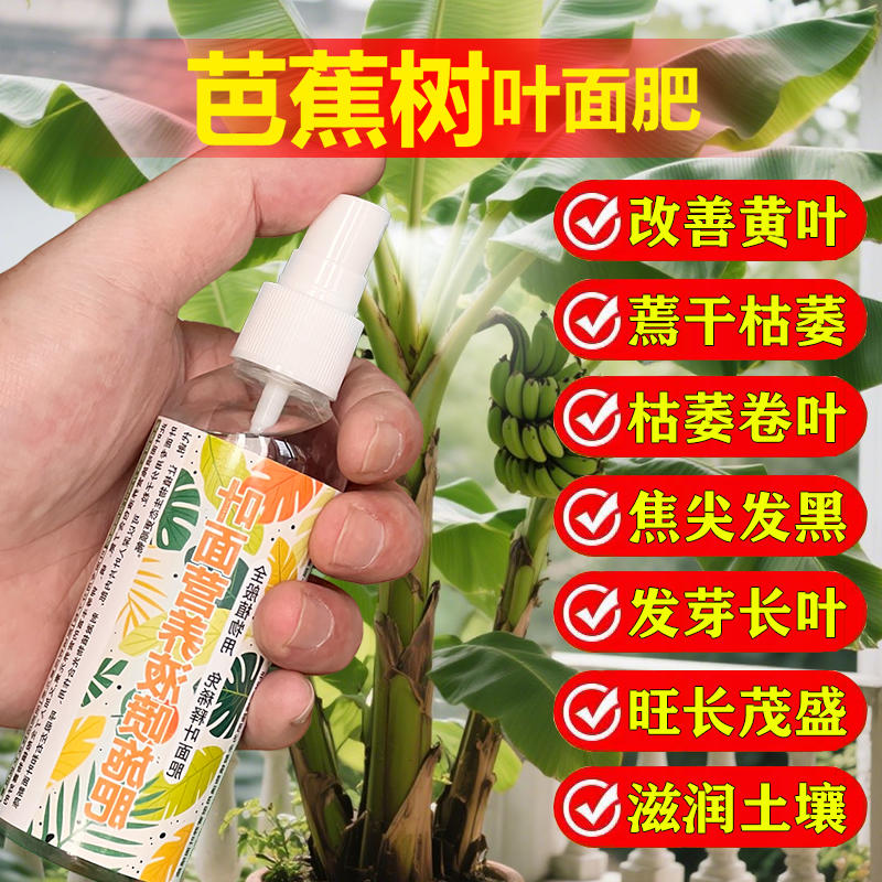 芭蕉专用肥料盆栽绿植庭院种植芭蕉树苗花肥营养液土培水溶化肥料