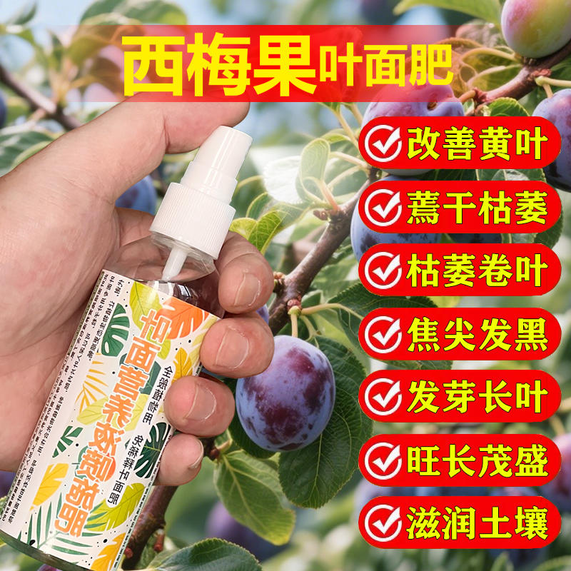 西梅果专用肥料西梅树苗营养液氮磷钾有机肥盆栽种植土水溶化肥料