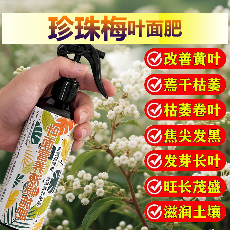 珍珠梅专用肥料老桩花苗珍珠梅树小苗盆景营养液叶面肥水溶化肥料