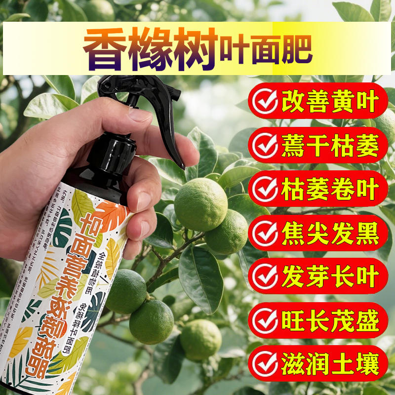 香橼树专用肥料种植佛手大树苗盆栽土壤营养液叶面肥浓缩有机肥料
