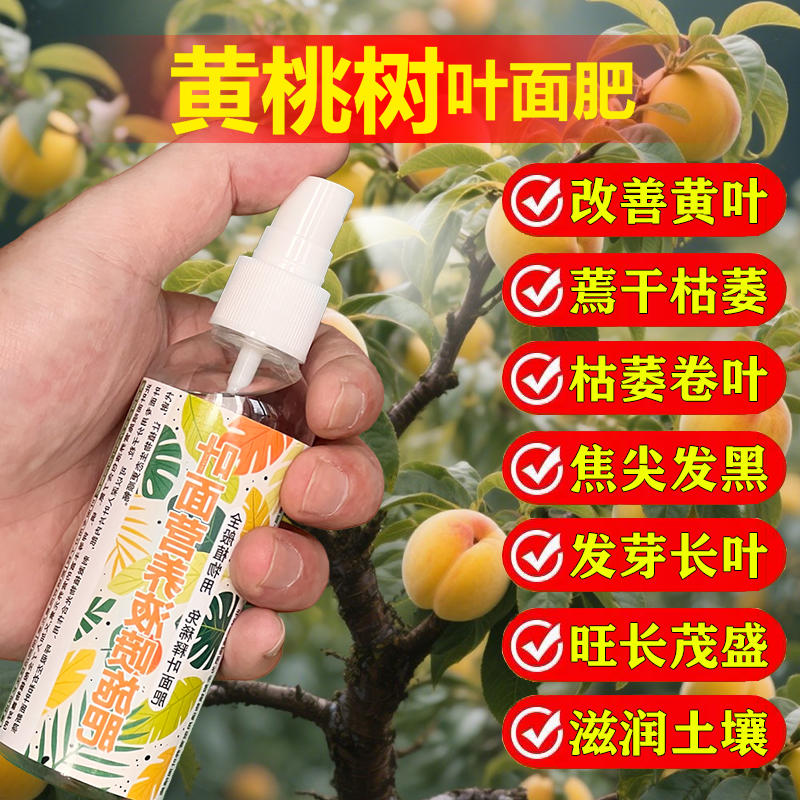 黄桃专用肥料黄桃树苗营养液开花保花保果结果挫果增产增收化肥料